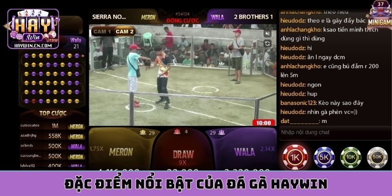 Đặc điểm nổi bật của đá gà HAYWIN