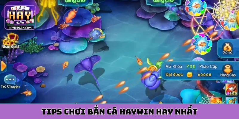 Tips chơi bắn cá HAYWIN hay nhất
