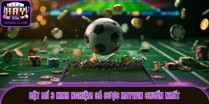 Bật mí 3 kinh nghiệm cá cược Haywin chuẩn nhất