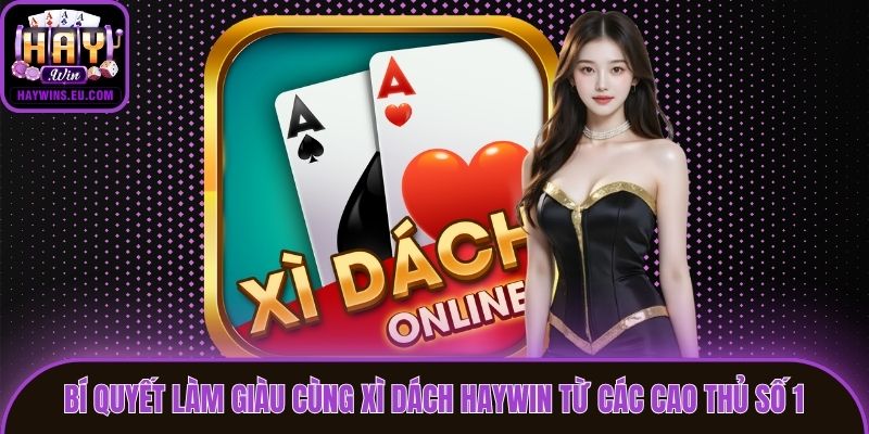 Bí Quyết Làm Giàu Cùng Xì Dách Haywin Từ Các Cao Thủ Số 1