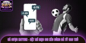 Cá Cược Haywin - Bật Mí Mẹo Soi Kèo Bóng Đá Từ Cao Thủ