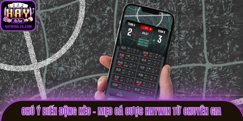 Chú ý biến động kèo - Mẹo cá cược Haywin từ chuyên gia