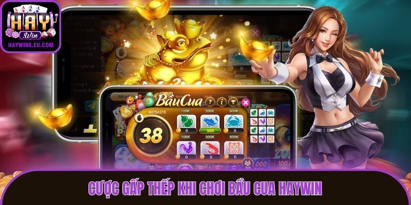Cược gấp thếp khi chơi bầu cua haywin