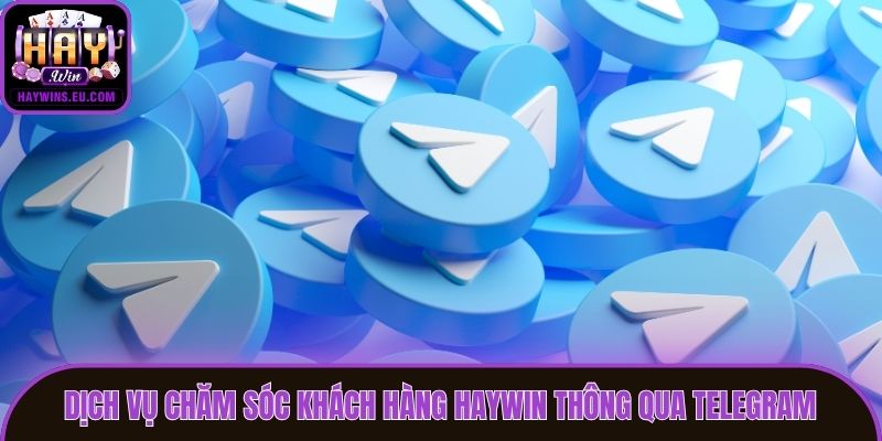 Dịch vụ chăm sóc khách hàng Haywin thông qua Telegram