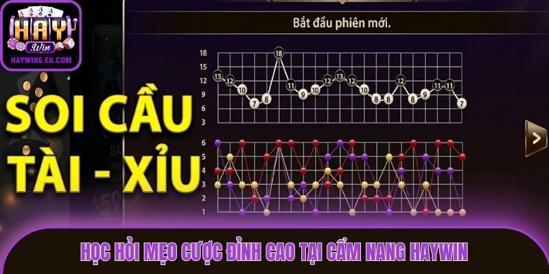 Học hỏi mẹo cược đỉnh cao tại cẩm nang Haywin