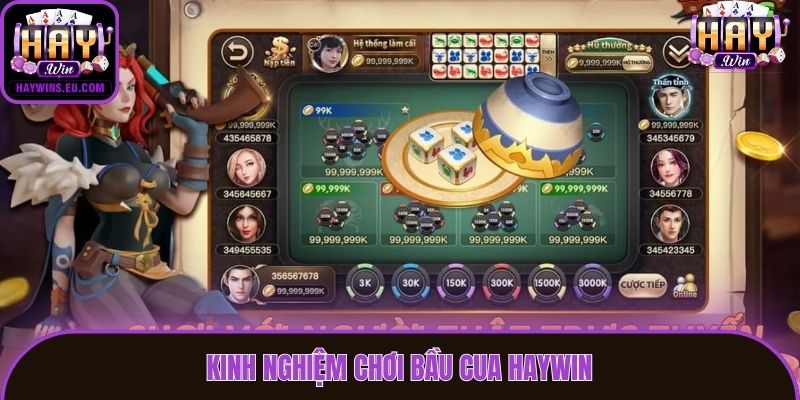 Kinh nghiệm chơi bầu cua Haywin