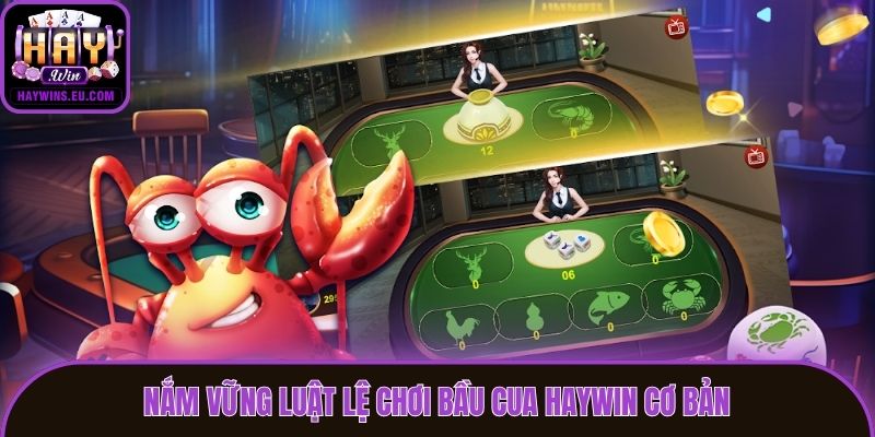 Nắm vững luật lệ chơi Bầu Cua Haywin cơ bản