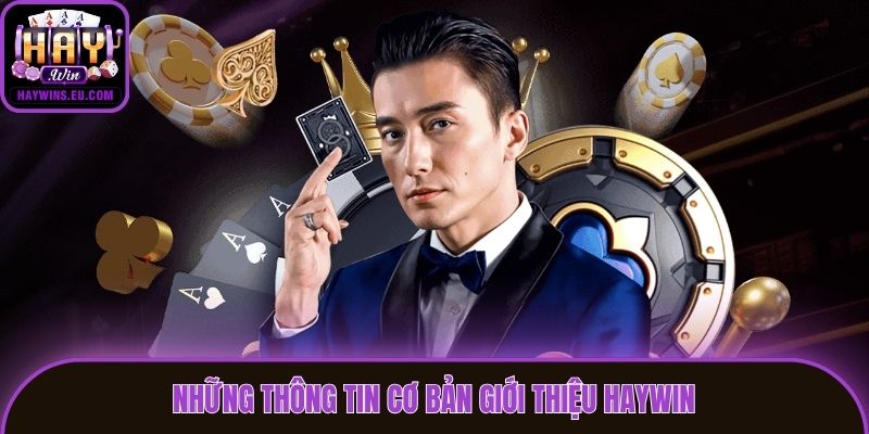 Những thông tin cơ bản giới thiệu Haywin