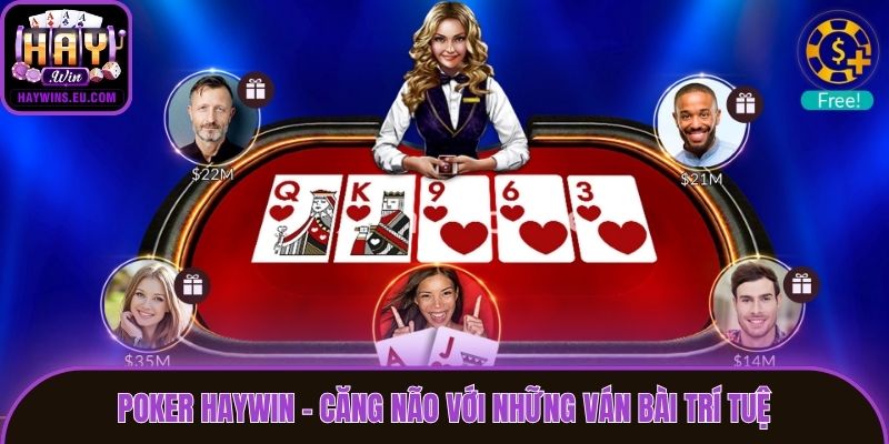 Poker Haywin - Căng não với những ván bài trí tuệ